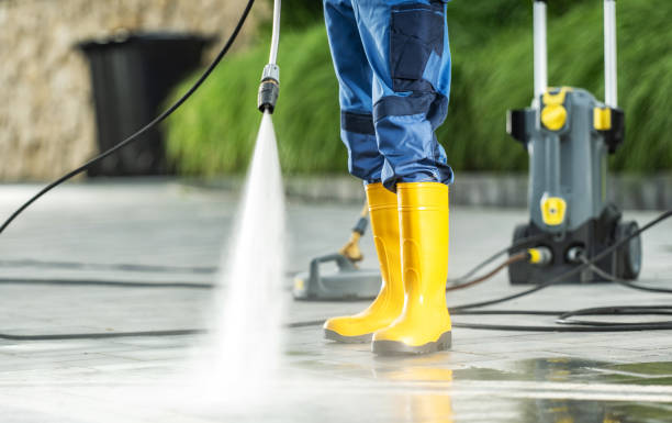 Best Exterior Home Cleaning  in Shady Hollow, TX