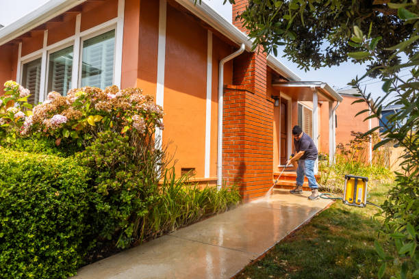 Best Power Washing Near Me  in Shady Hollow, TX