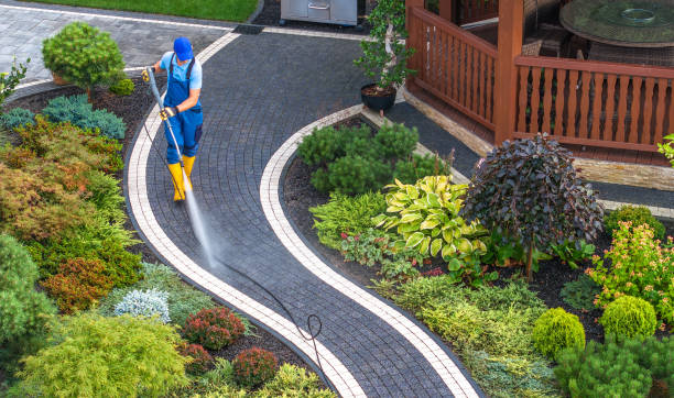 Best House Pressure Washing  in Shady Hollow, TX